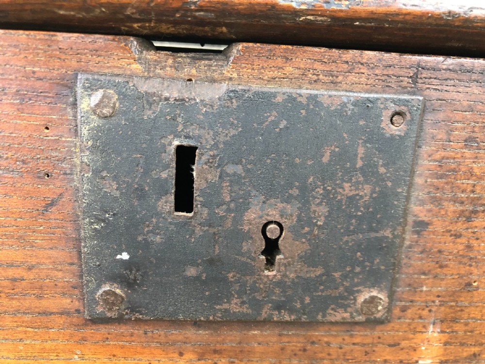 Antique Elm Trunk View VI