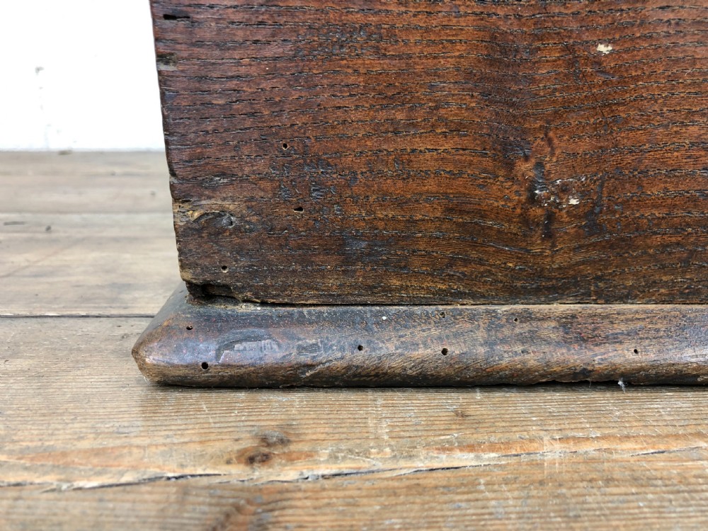 Antique Elm Trunk View VII
