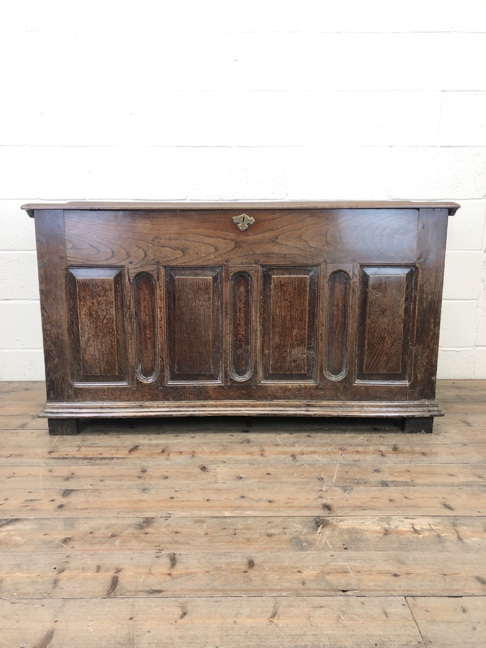 Antique Panelled Oak Coffer View II