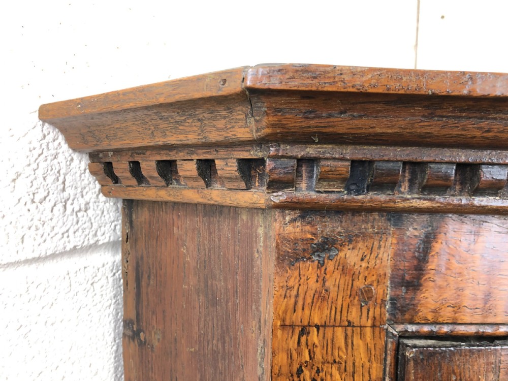 19th Century Oak Single Door Corner Cupboard View V