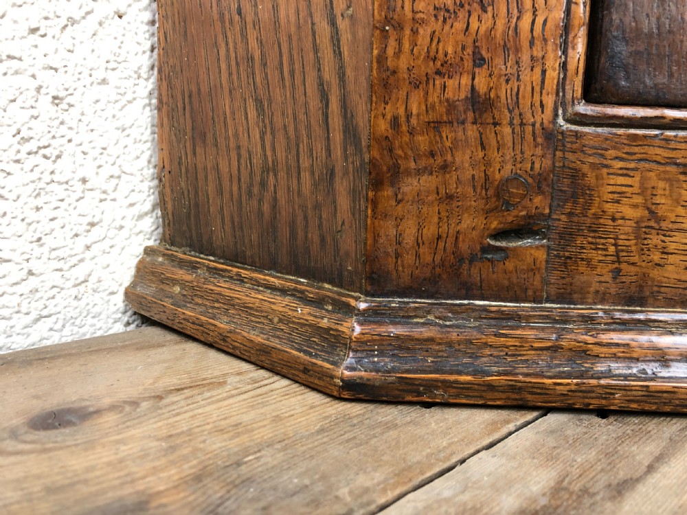 19th Century Oak Single Door Corner Cupboard View VI