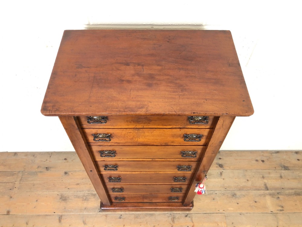 19th Century Mahogany Wellington Chest View III