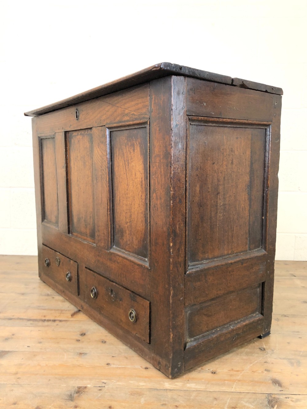 18th Century Welsh Oak Mule Chest View IX