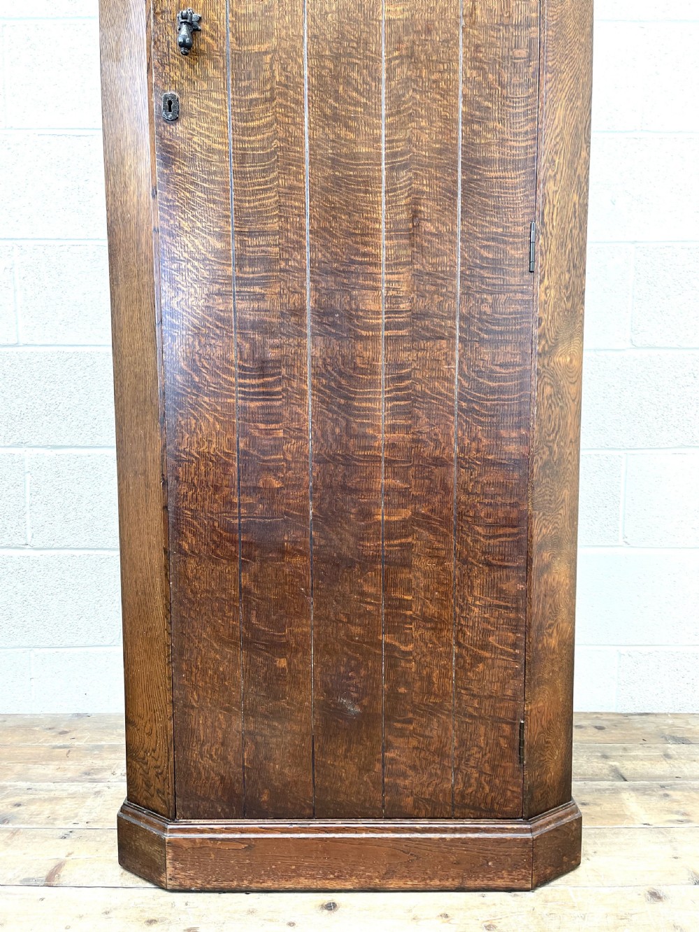 Early 20th Century Antique Oak Hall Cupboard View IV