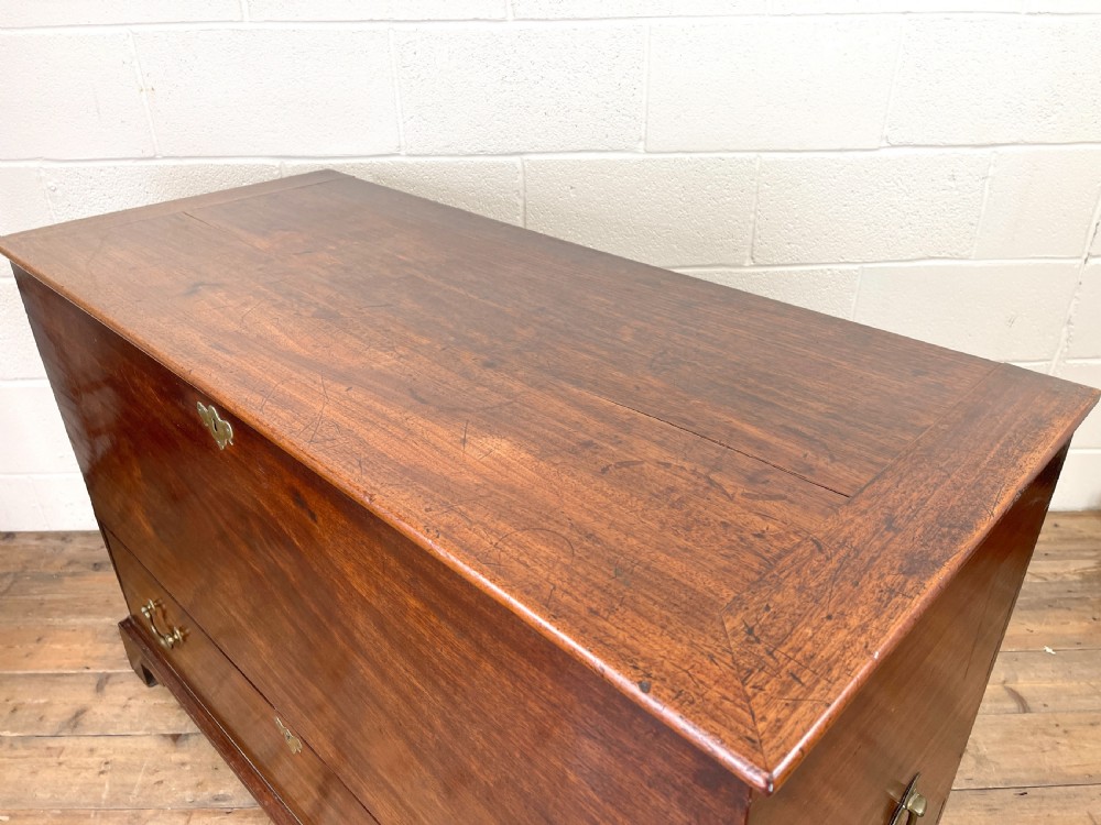 Large 19th Century Mahogany Blanket Box View VIII