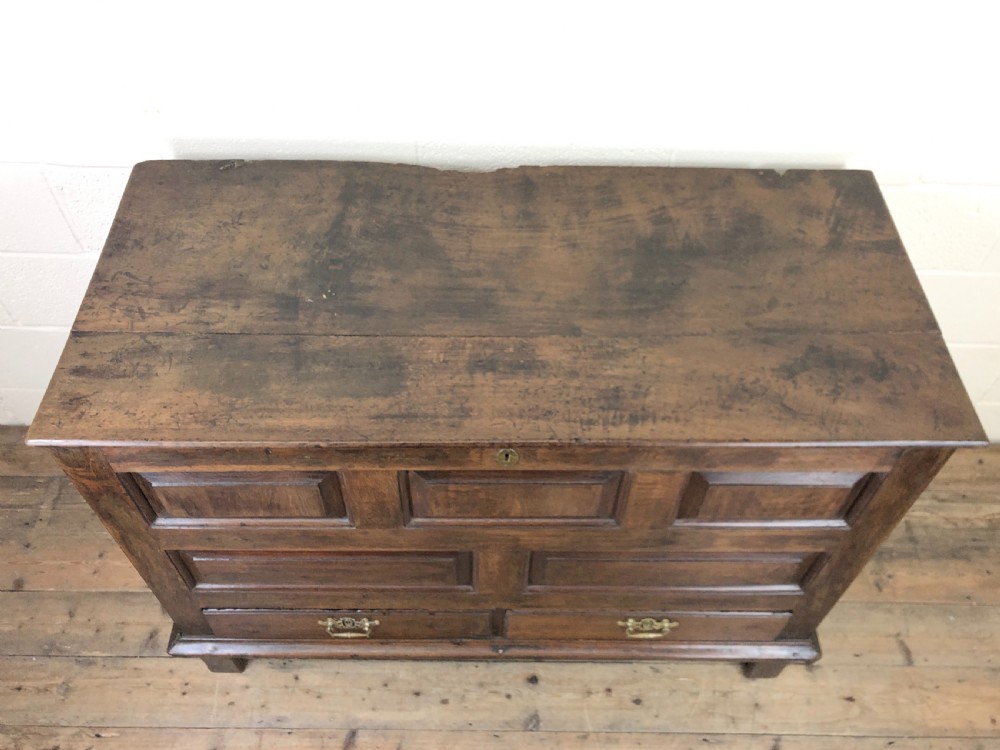 Antique 18th Century Welsh oak mule chest View XIX