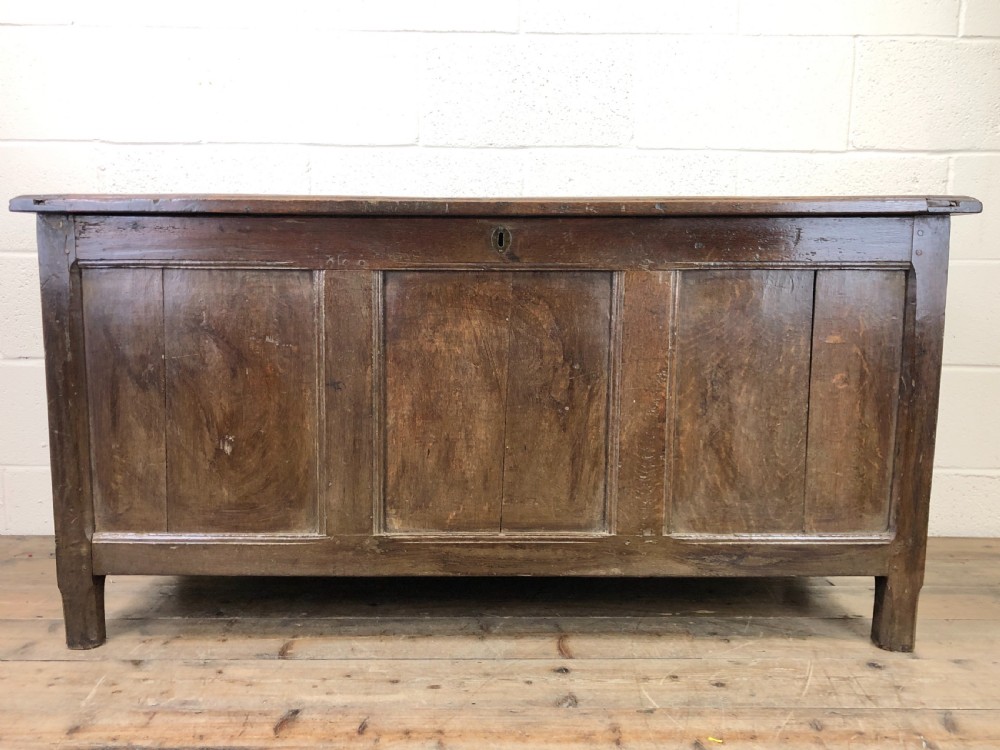 Antique 18th Century Oak Coffer with Three Panel Front View XIX