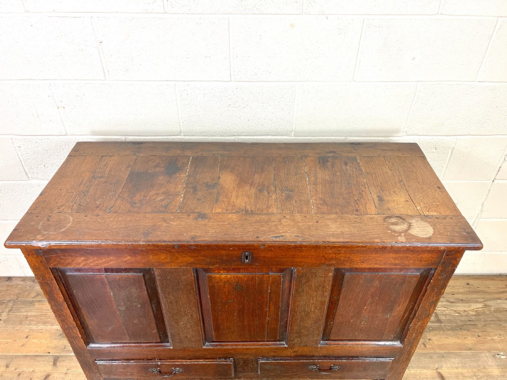 Antique 18th Century Oak Mule Coffer View II