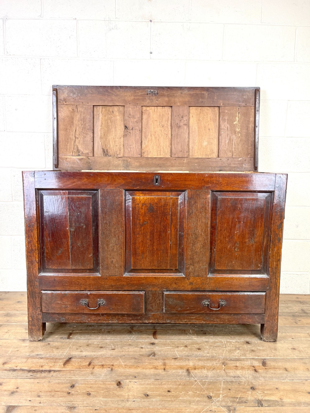Antique 18th Century Oak Mule Coffer View III