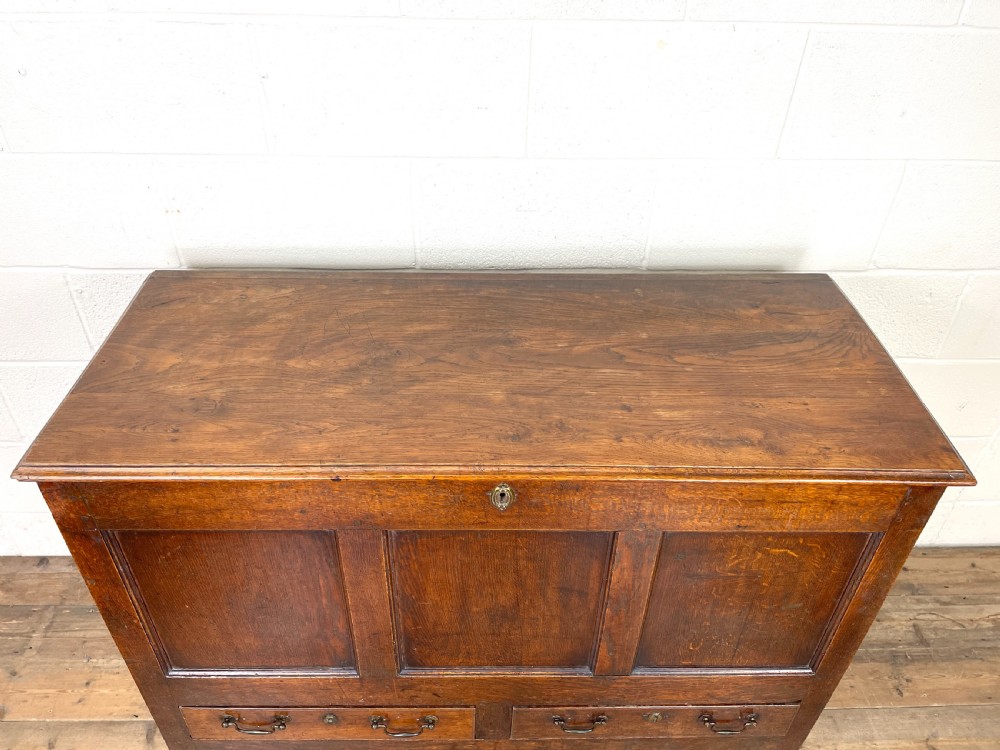 Large Antique Oak Mule Chest View III