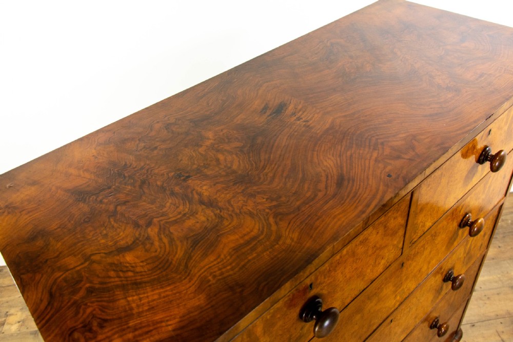 Large Victorian Walnut Chest of Drawers View V