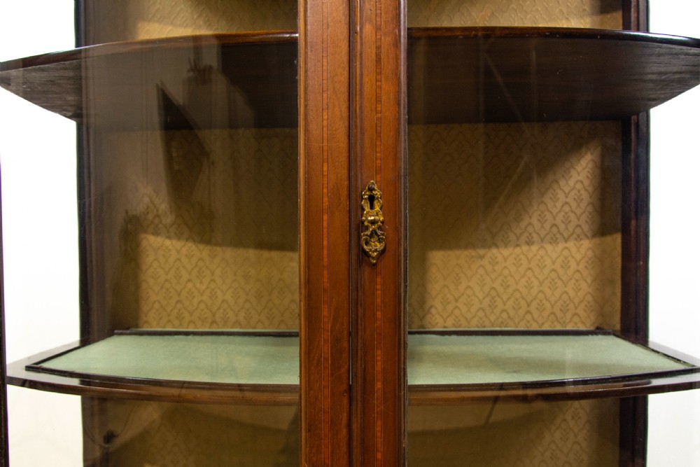 Edwardian Mahogany Inlaid Glass Display Cabinet View II