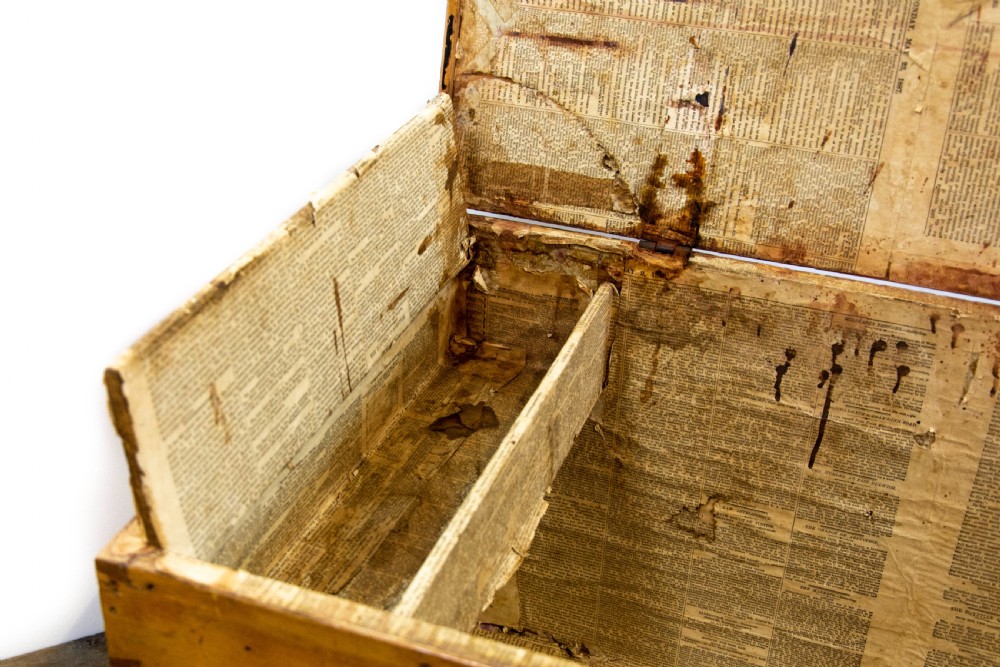 Victorian Antique Pine Trunk View VIII
