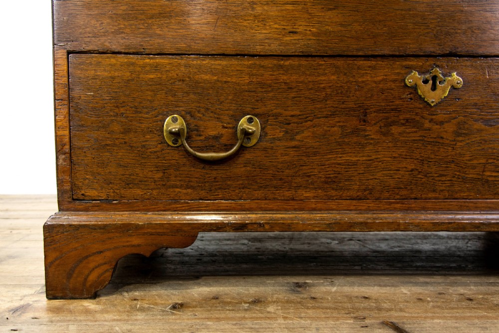 18th Century Oak Mule Chest View II