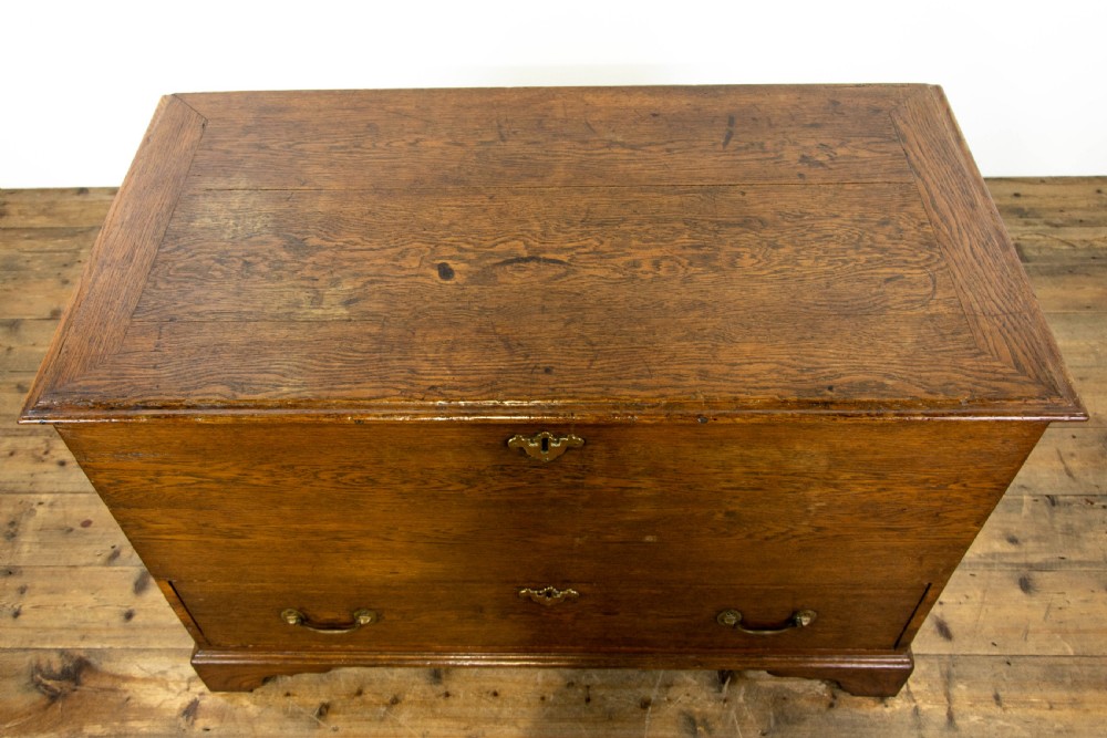 18th Century Oak Mule Chest View III