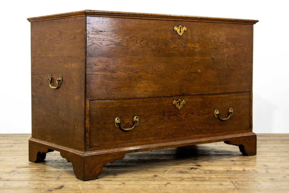 18th Century Oak Mule Chest View IV