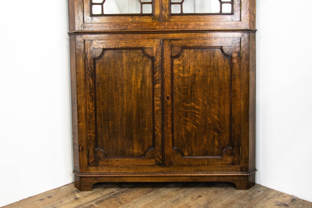 Antique 19th Century Glazed Oak Corner Cupboard View II