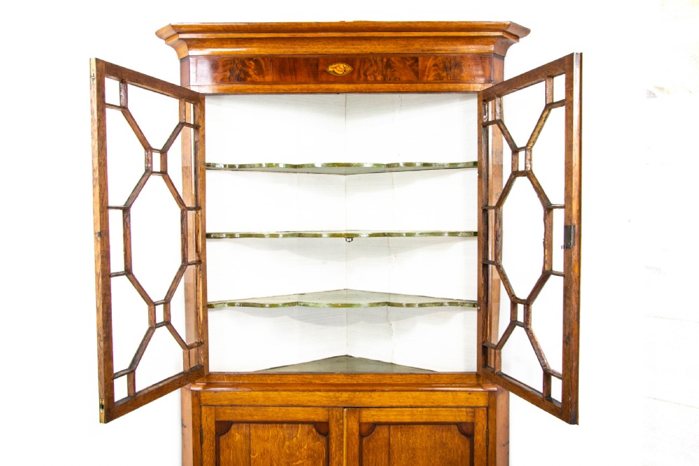 Antique Oak Glazed Corner Cupboard View II
