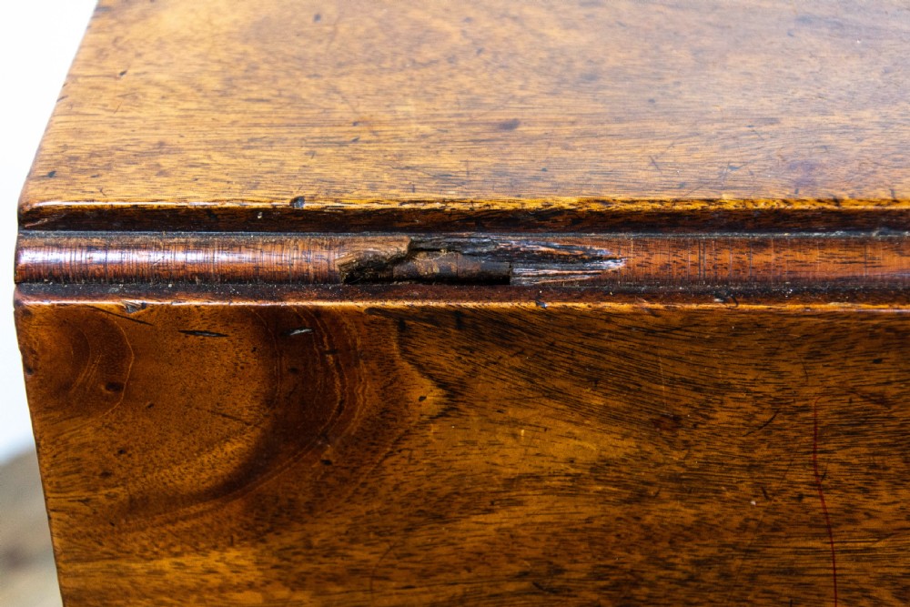 Georgian Mahogany Drop Leaf Dining Table View IV