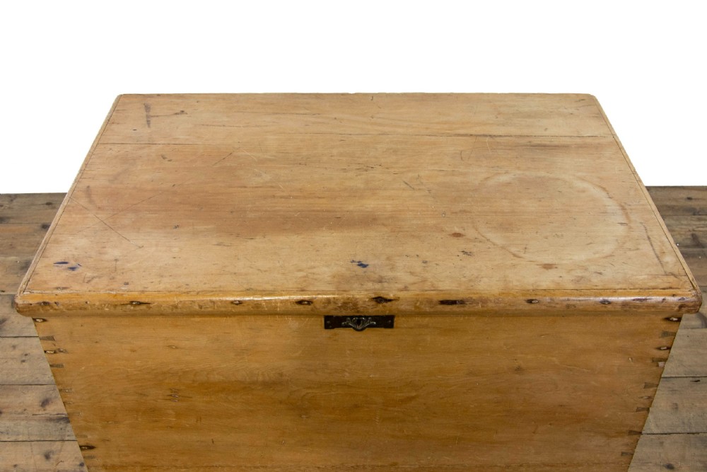 19th Century Stripped Pine Chest or Blanket Box View IV