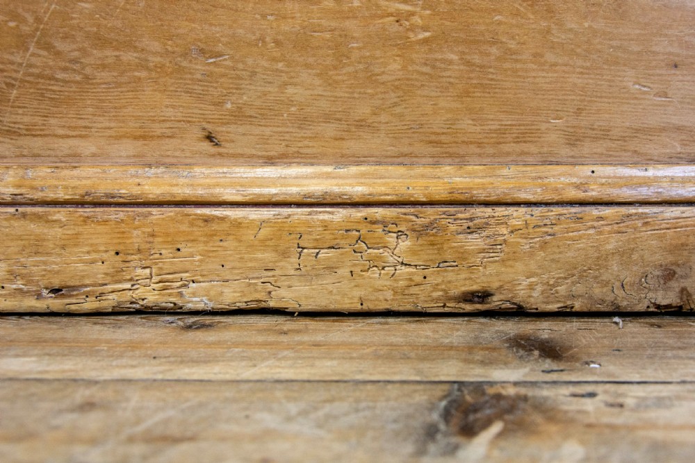 19th Century Stripped Pine Chest or Blanket Box View VI