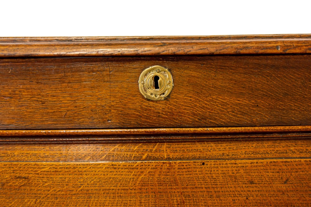 Large Georgian Oak Mule Chest View II