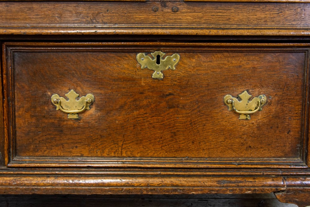 Large Georgian Oak Mule Chest View IV
