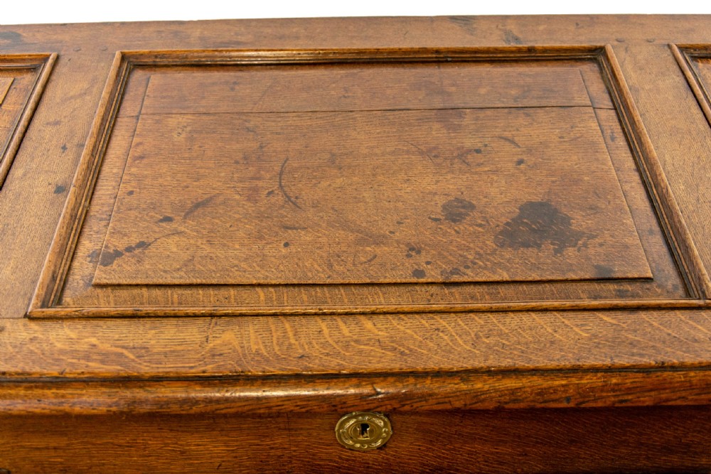 Large Georgian Oak Mule Chest View VI