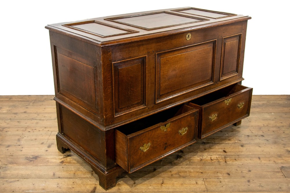 Large Georgian Oak Mule Chest View VIII