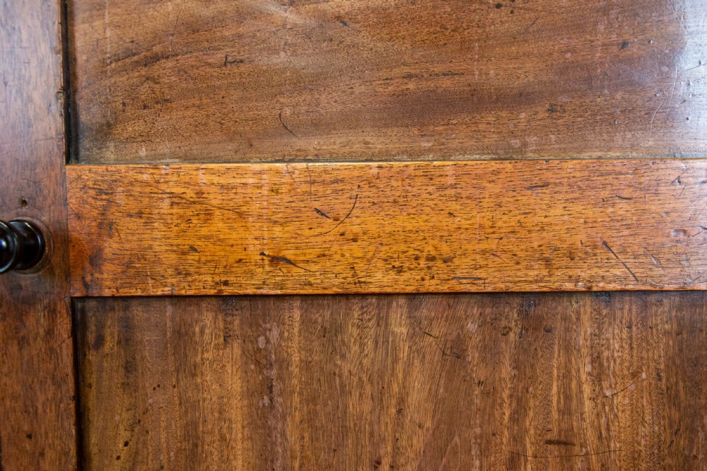 Antique Mahogany Two Door Cupboard View IV
