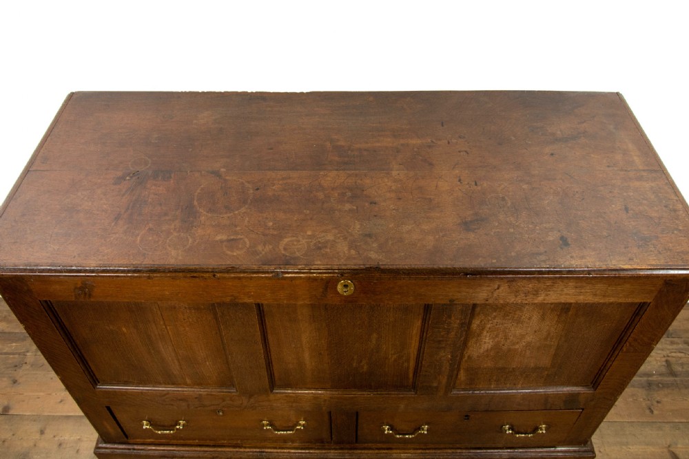 An antique dark oak mule chest featuring three recessed front panels, two lower drawers with brass swan-neck handles, and bracket feet. View III