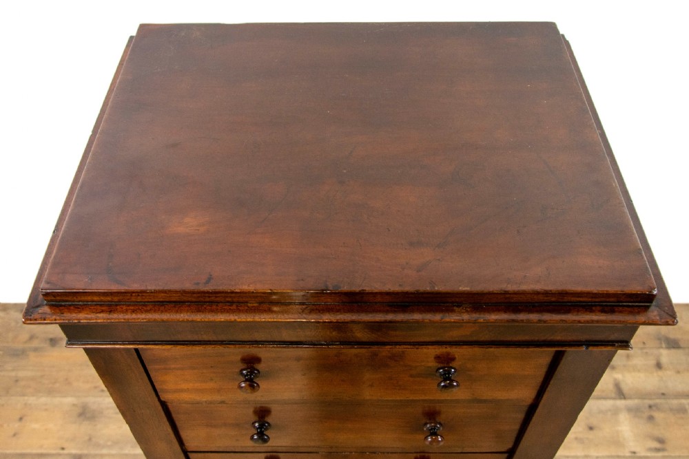 Victorian Mahogany Wellington Chest View V
