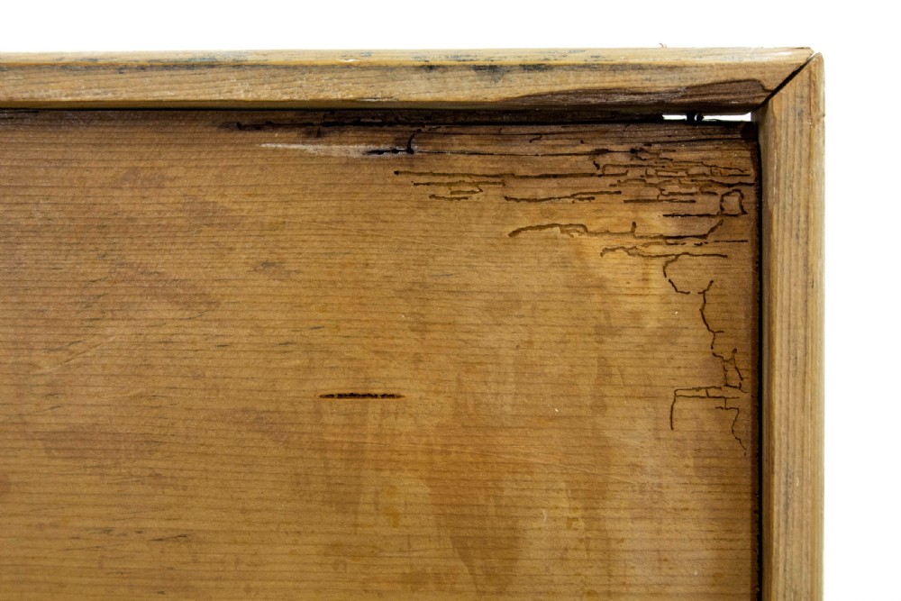 Large Antique Pine Trunk or Blanket Box View VII