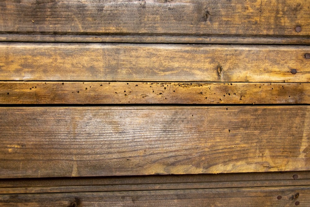 Large 19th Century Antique Pine Double Cupboard View XII