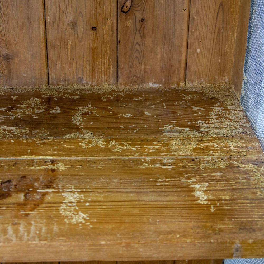 Victorian Antique Pine Food Cupboard View IX