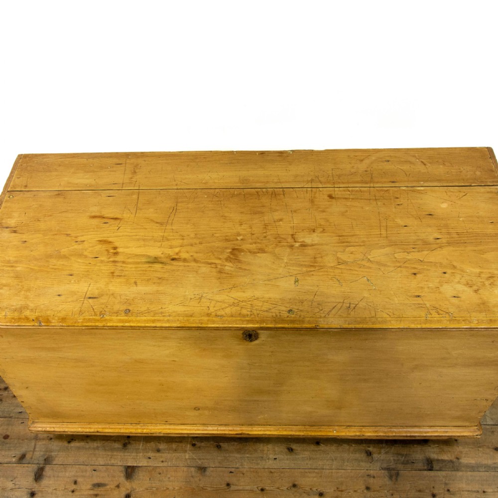 Victorian Antique Pine Trunk View IV