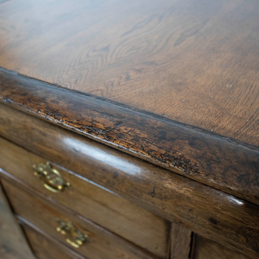 18th Century Antique Oak Chest of Drawers View IX