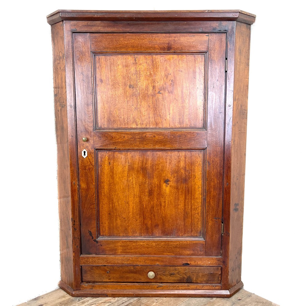 An antique warm amber fruitwood corner cupboard featuring a panelled single door, a small lower drawer, and brass hardware.