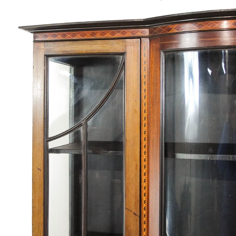 Antique Edwardian Mahogany Display Cabinet View III