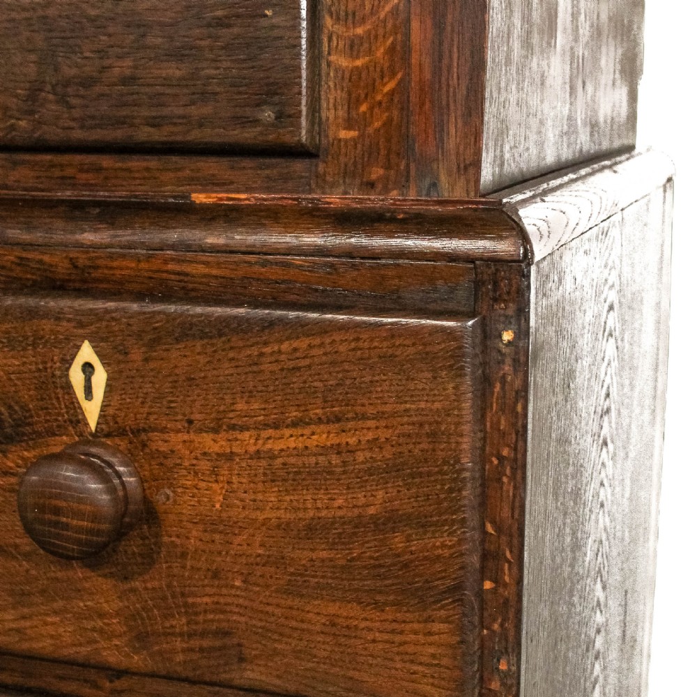 An early nineteenth-century dark oak Welsh press cupboard with two arched fielded panel doors above a base of five drawers on bracket feet. View III