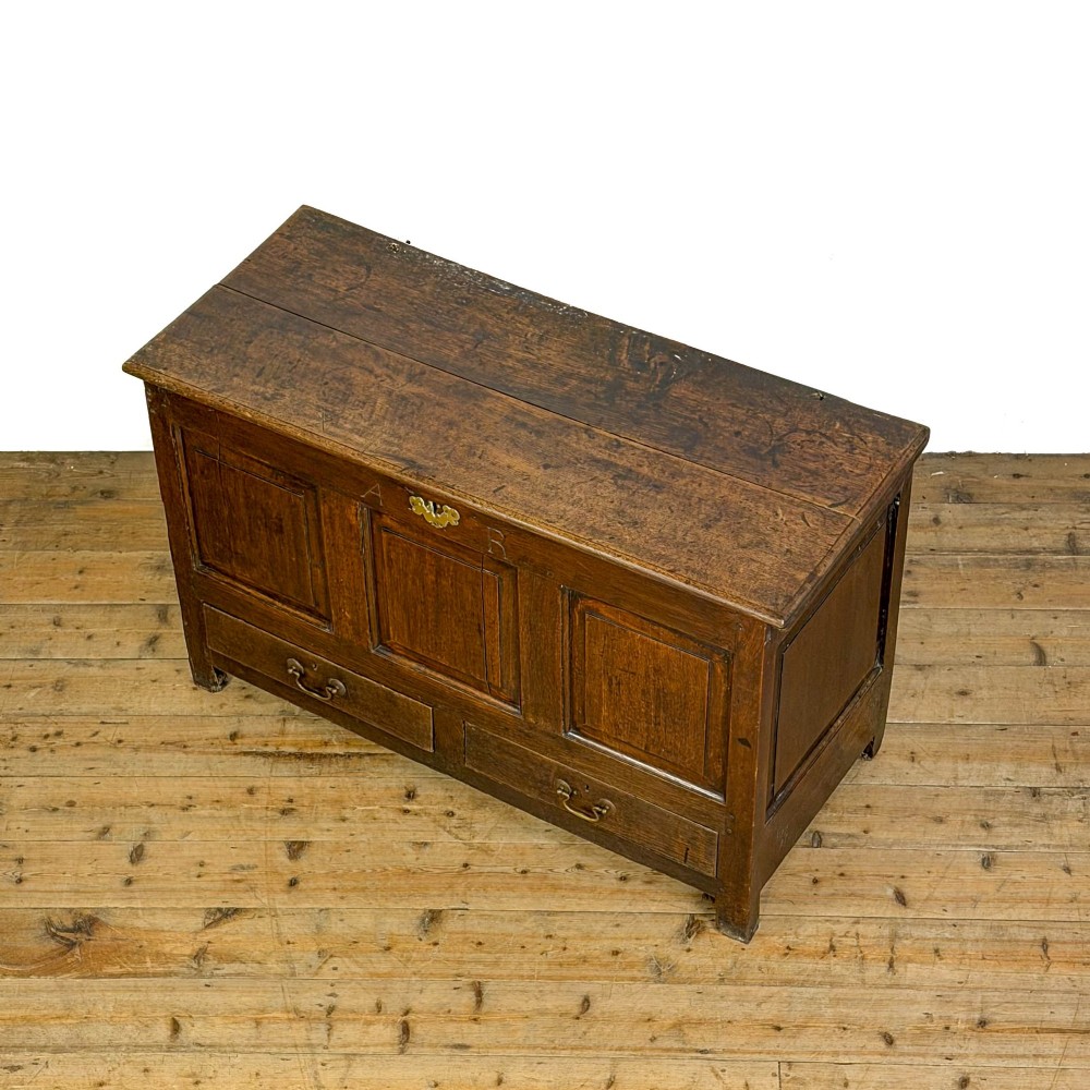 An 18th-century dark oak mule chest featuring three raised fielded panels, two lower drawers with brass swan-neck handles, and carved initial detailing. View VI