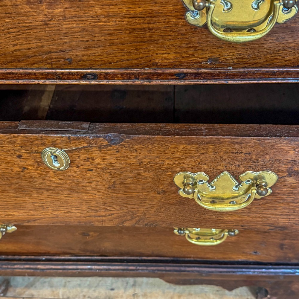 An eighteenth-century two-part Georgian oak livery cupboard with two multi-panelled doors above eight brass-handled drawers. View V