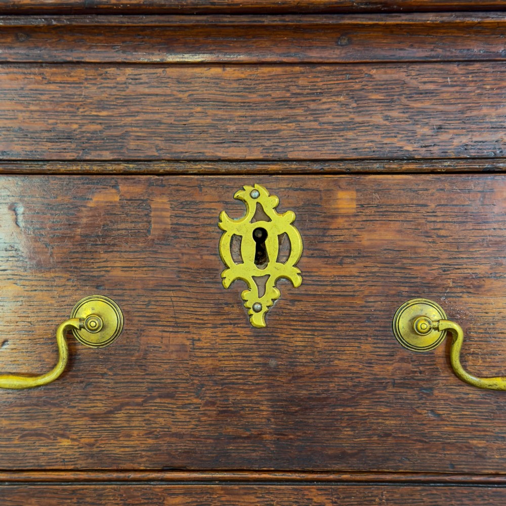 An early nineteenth-century dark oak dresser base featuring multiple drawers with brass handles, twin panelled cupboard doors, and a solid wood plinth base. View III
