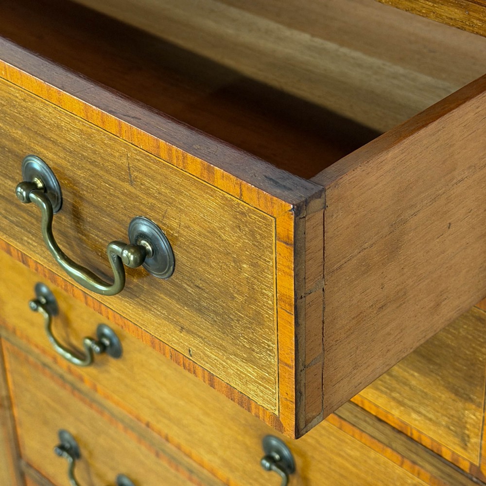 An Edwardian mahogany cabinet featuring an eight-pane glazed door on the left beside a vertical bank of six drawers with brass handles. View III