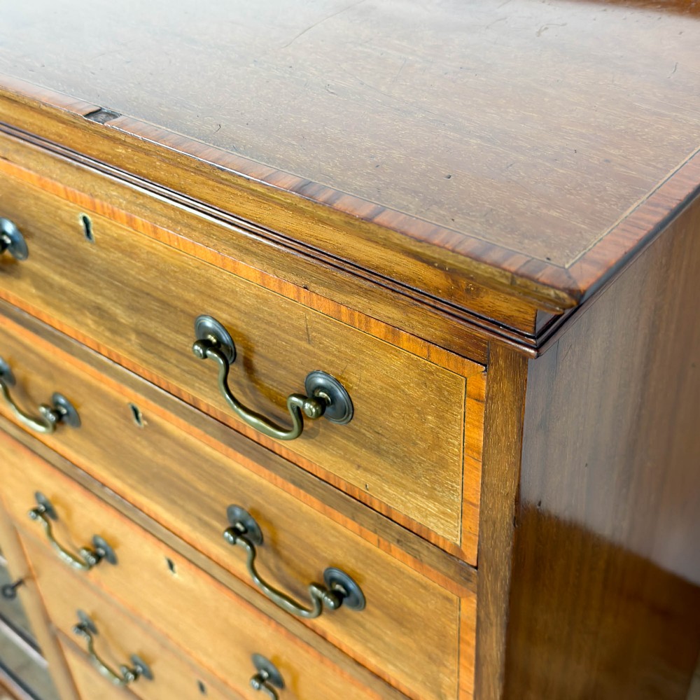 An Edwardian mahogany cabinet featuring an eight-pane glazed door on the left beside a vertical bank of six drawers with brass handles. View IV