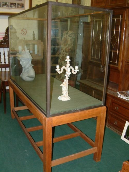 Large Shop/ Museum Cabinet