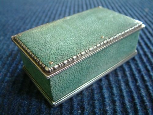 Shagreen Stingray and Silver Box