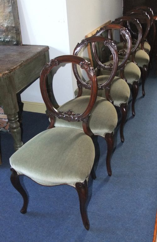 Set 6 Victorian Walnut Balloon Back Chairs
