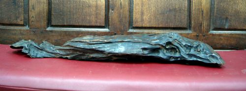 An Amazing Victorian Sculptural Piece of Wood