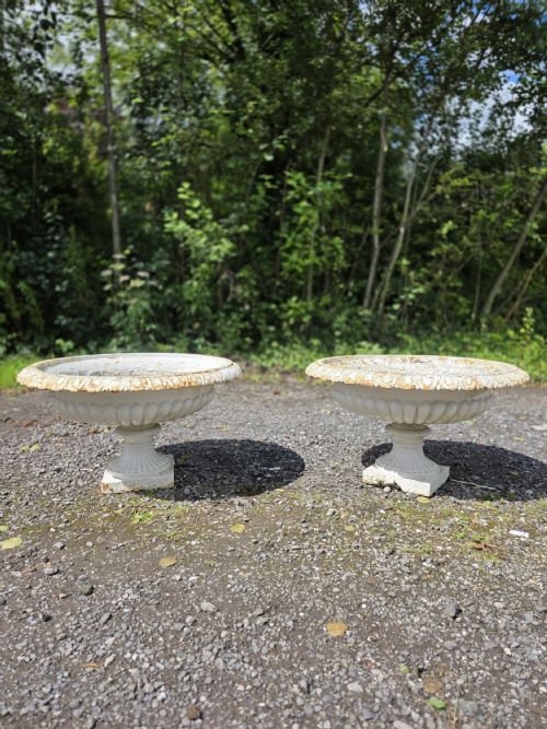 1870 LARGE PAIR OF VICTORIAN CAST IRON TAZZA URNS - ADDITIONAL PHOTO 2